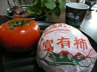 P1010494.JPG