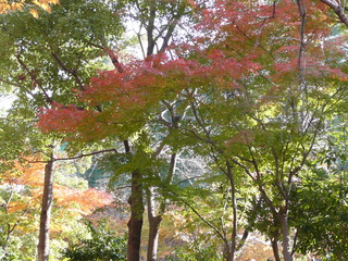 P1010554.JPG