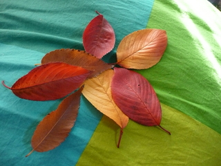 P1010560.JPG